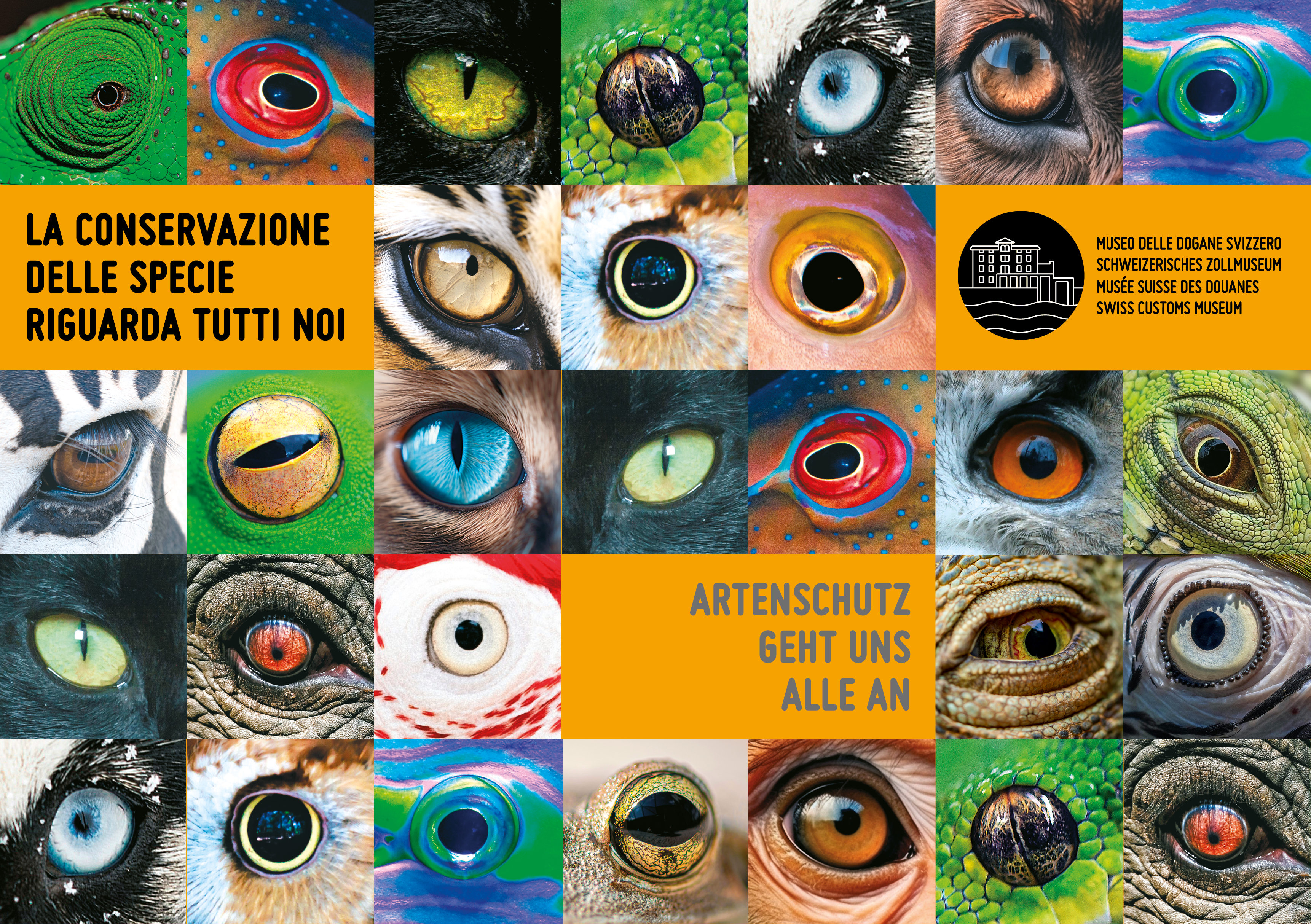 Banner Artenschutz geht uns alle an. Diverse Tieraugen.